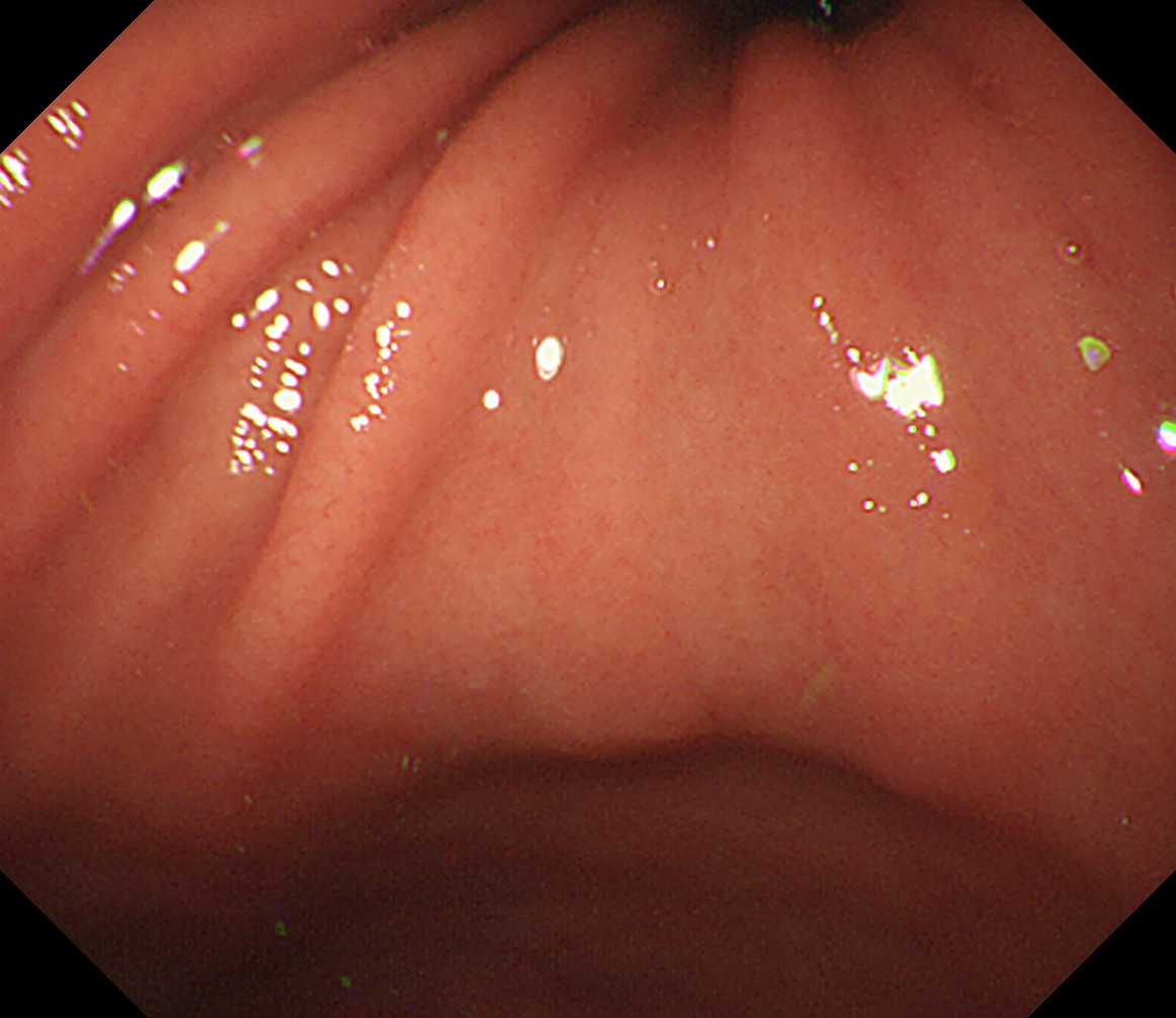 �݊p�����